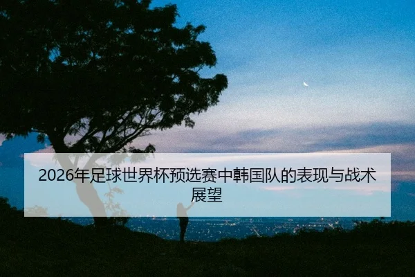 nian-zu-qiu-shi-jie-bei-yu-xuan-sai-zhong-han-guo-dui-de-biao-xian-yu-zhan-shu-zhan-wang-2-421.jpg