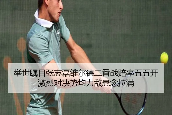 举世瞩目张志磊维尔德二番战赔率五五开 激烈对决势均力敌悬念拉满